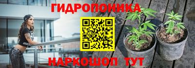 дживик Донецк