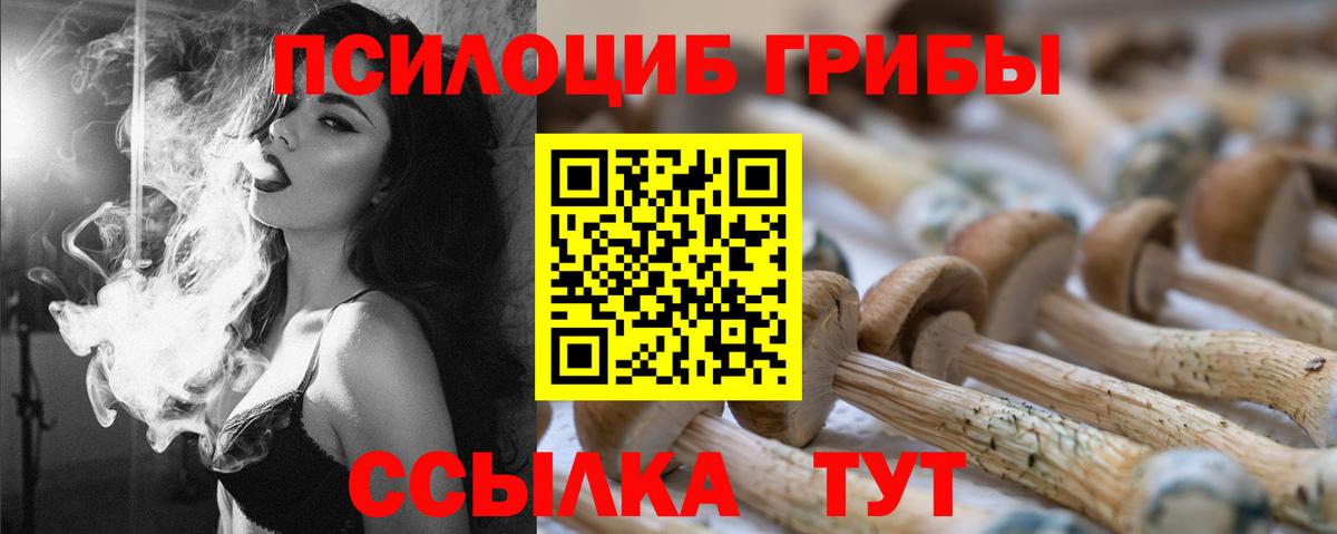 Псилоцибиновые грибы Magic Shrooms Медногорск