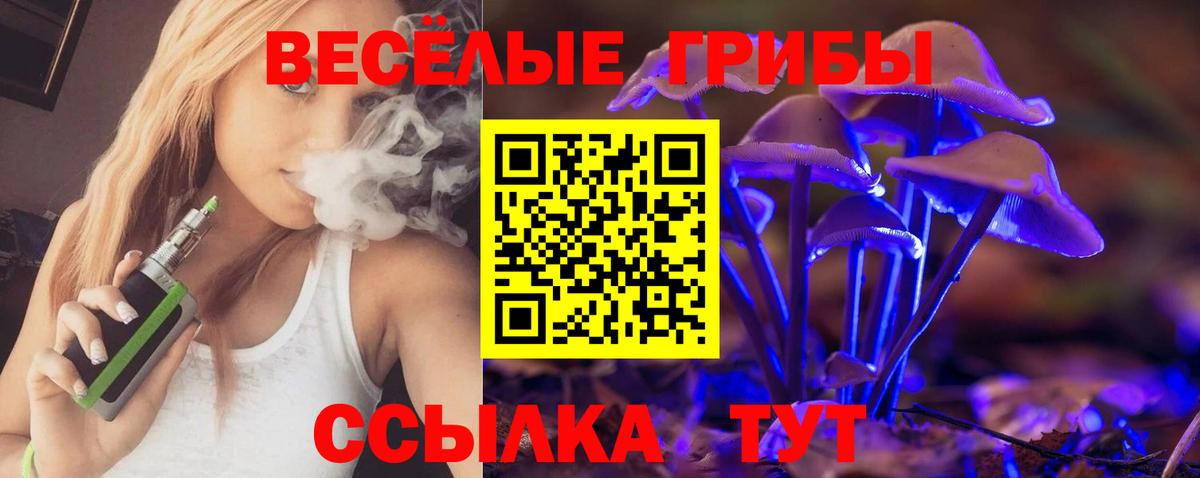 Псилоцибиновые грибы мухоморы  Вход с VPN  Медногорск 